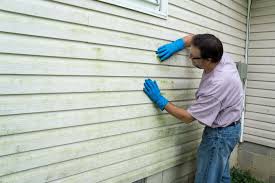 Best Siding Painting and Refinishing  in Glencoe, FL